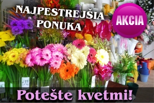 Najpestrejšia ponuka. Potešte kvetmi!